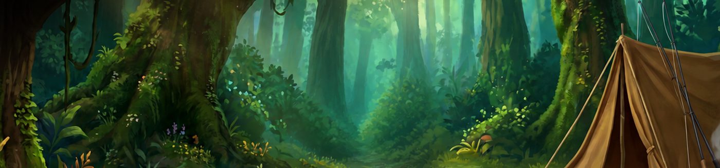 iWild offer